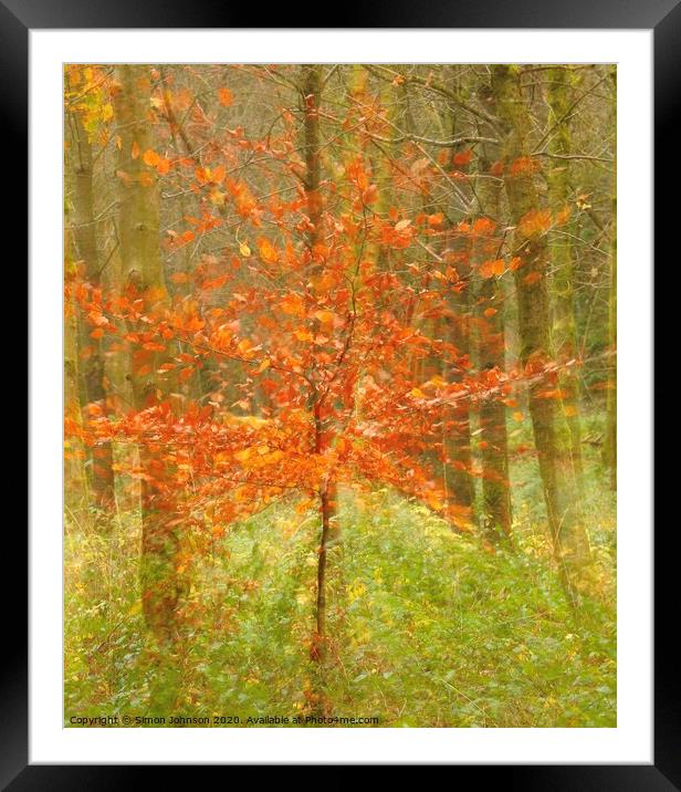 Abstract autumn explosion Framed Mounted Print by Simon Johnson