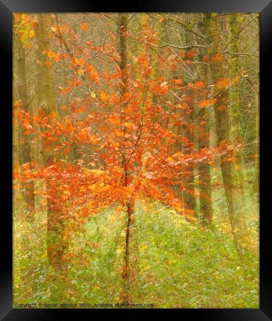 Abstract autumn explosion Framed Print by Simon Johnson