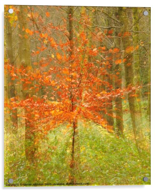 Abstract autumn explosion Acrylic by Simon Johnson