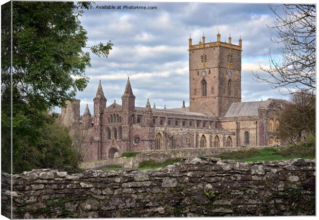 St David's cathedral, Wales. Canvas Print by Jason Connolly