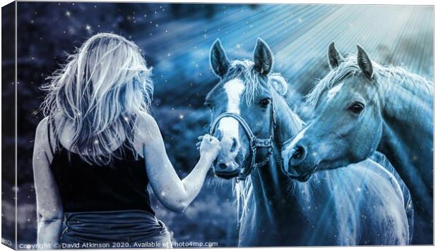 Magical Horses Canvas Print by David Atkinson