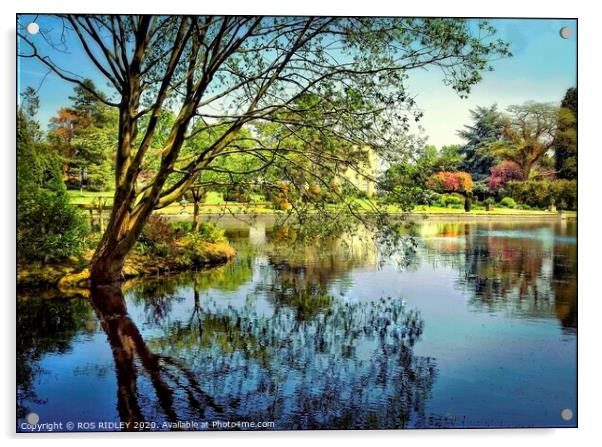 Thorp Perrow Lake reflections Acrylic by ROS RIDLEY