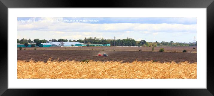 Beautiful panorama of farmland and tillage in the autumn in the morning. Framed Mounted Print by Sergii Petruk