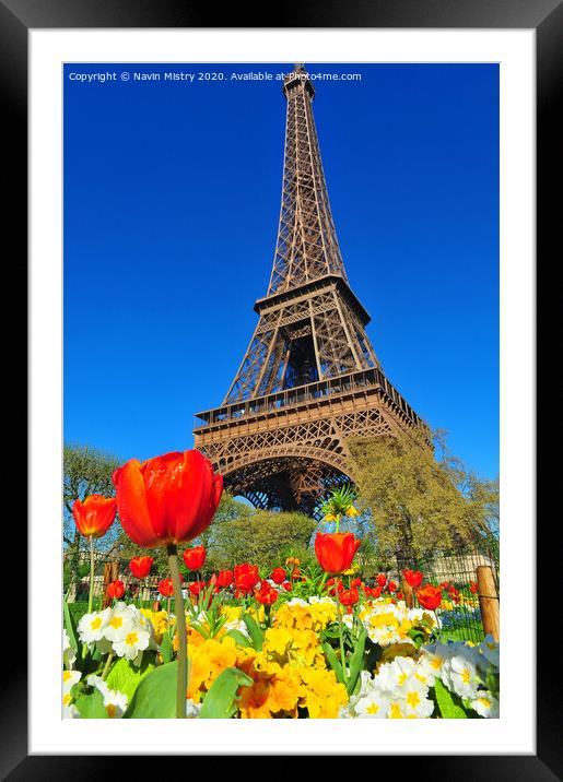 Eiffel Tower Framed Mounted Print by Navin Mistry