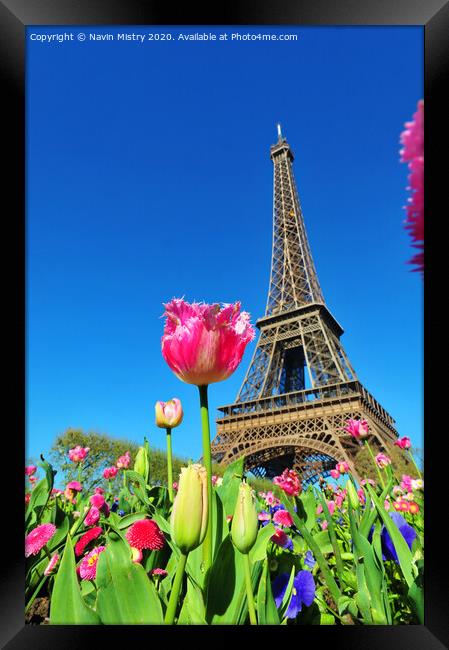 Eiffel Tower, Paris, France Framed Print by Navin Mistry