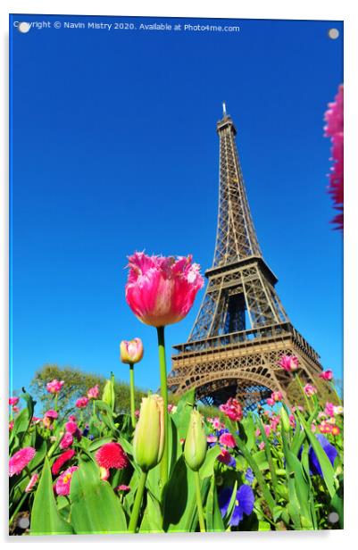Eiffel Tower, Paris, France Acrylic by Navin Mistry