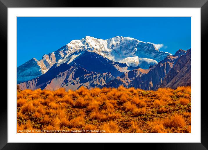 Aconcagua National, Park, Mendoza, Argentina Framed Mounted Print by Daniel Ferreira-Leite