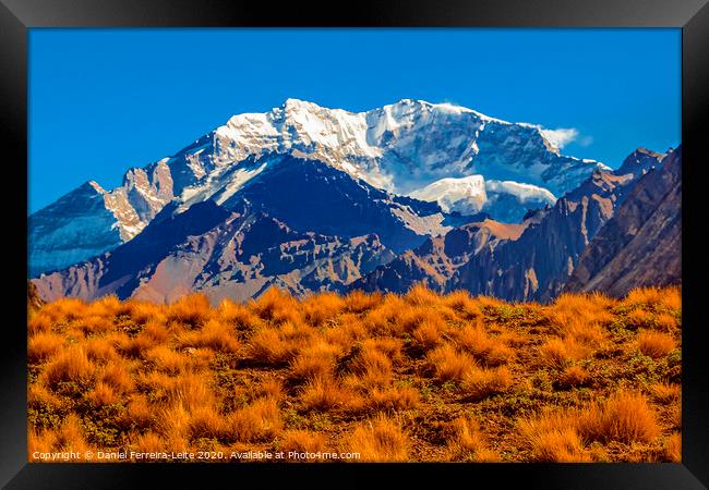 Aconcagua National, Park, Mendoza, Argentina Framed Print by Daniel Ferreira-Leite