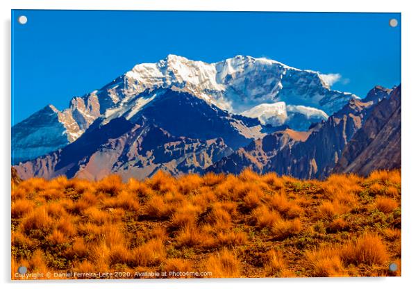 Aconcagua National, Park, Mendoza, Argentina Acrylic by Daniel Ferreira-Leite