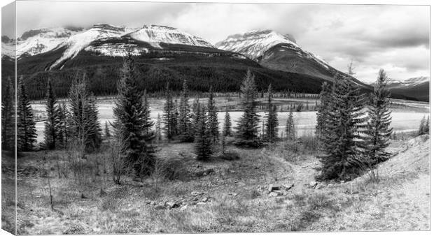 Along the Icefields Parkway bw Canvas Print by Belinda Greb