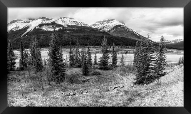 Along the Icefields Parkway bw Framed Print by Belinda Greb