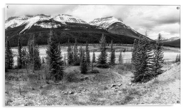 Along the Icefields Parkway bw Acrylic by Belinda Greb