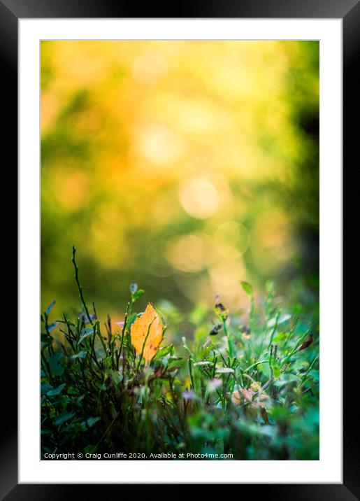 Autumn Tones Framed Mounted Print by Craig Cunliffe