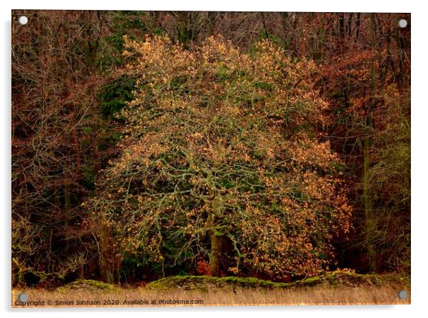 Oak Tree   Acrylic by Simon Johnson