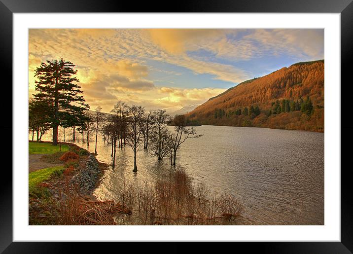 Loch Tay View Framed Mounted Print by Tom Gomez
