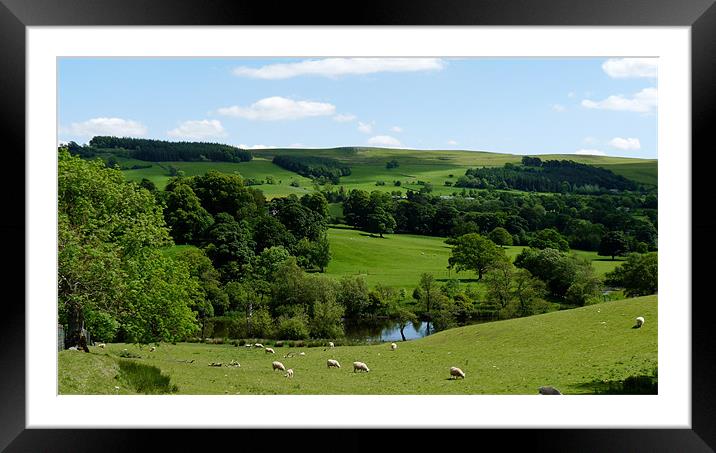 How green is my valley. Framed Mounted Print by John Biggadike