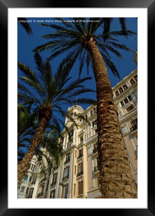 Palm tree, La Esplanada,  Alicante, Spain Framed Mounted Print by Navin Mistry