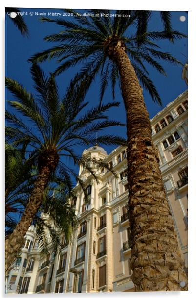 Palm tree, La Esplanada,  Alicante, Spain Acrylic by Navin Mistry