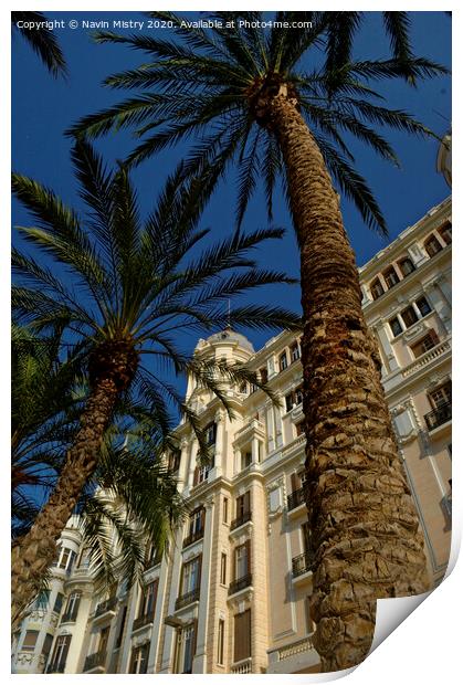 Palm tree, La Esplanada,  Alicante, Spain Print by Navin Mistry
