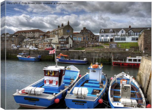 Seahouses Harbour and Boats, Northumberland Canvas Print by Philip Brown