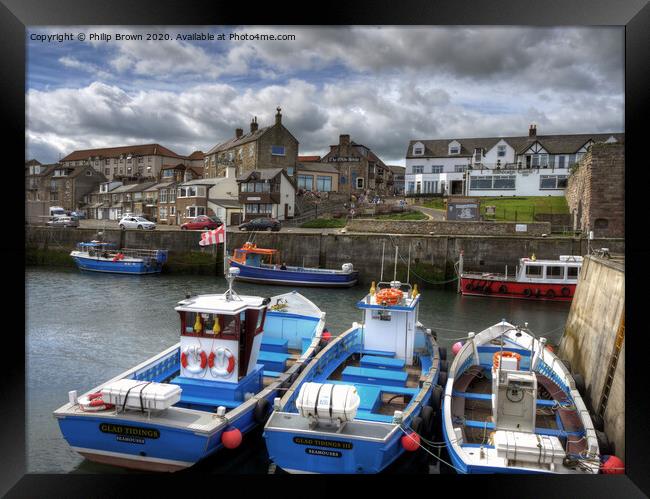 Seahouses Harbour and Boats, Northumberland Framed Print by Philip Brown