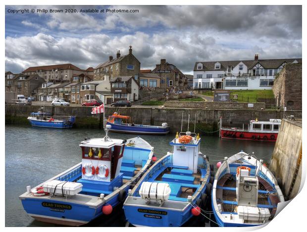 Seahouses Harbour and Boats, Northumberland Print by Philip Brown