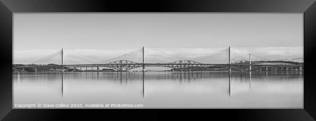 Bridges over Firth of Forth, Scotland Framed Print by Dave Collins
