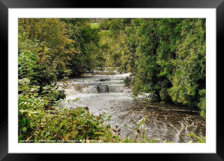 The Waterfalls at Bainbridge Yorkshire. Framed Mounted Print by Diana Mower