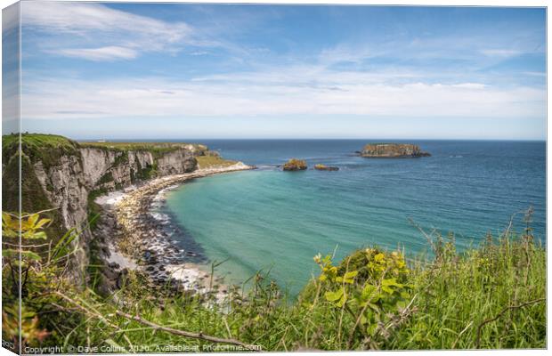 Sheep Island, Carrick-a-Rede, Ballintoy, Co Antrim Canvas Print by Dave Collins