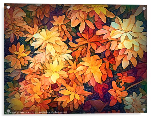 Autumn Glow Acrylic by Brian Tarr