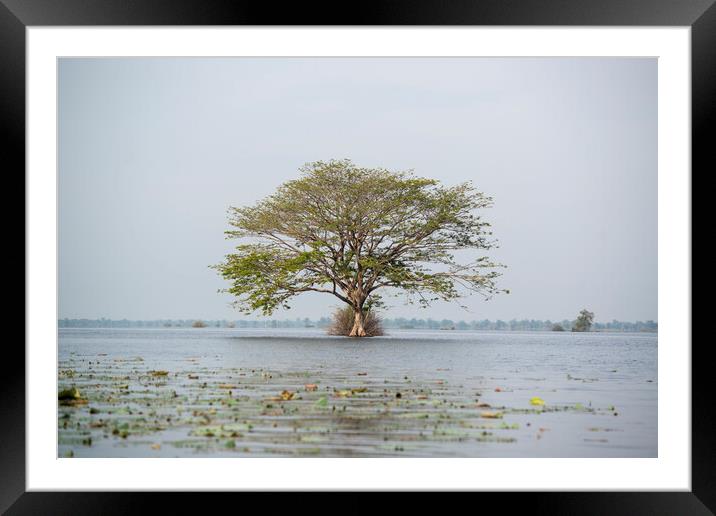 CAMBODIA BATTAMBANG KAMPING POUY LAKE Framed Mounted Print by urs flueeler