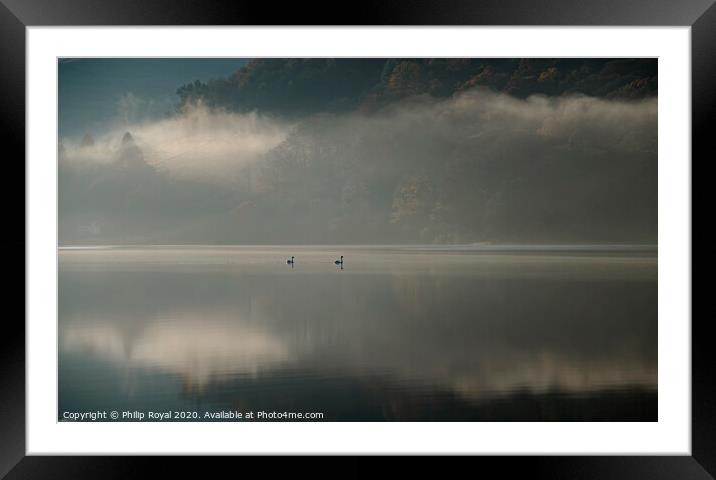 Loweswater Mist and Swans, Lake District Framed Mounted Print by Philip Royal