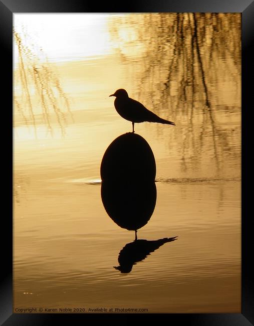 Buoy and Gull silhouette on the river Tarn in Fran Framed Print by Karen Noble