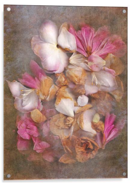 Fallen Petals Acrylic by Eileen Wilkinson ARPS EFIAP