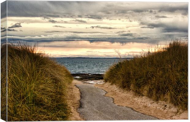 Path to the Beach Embo Canvas Print by Jacqi Elmslie
