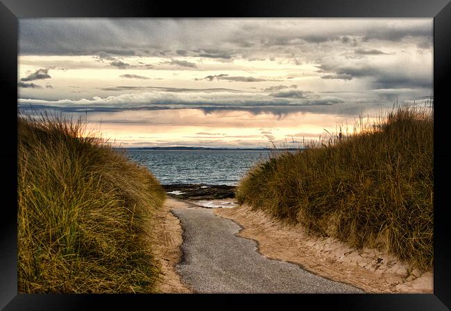Path to the Beach Embo Framed Print by Jacqi Elmslie