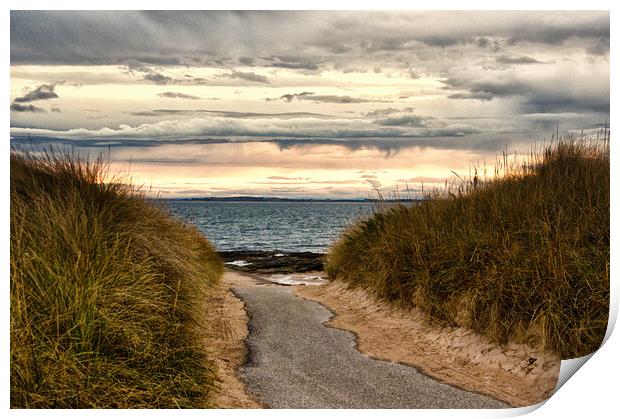 Path to the Beach Embo Print by Jacqi Elmslie