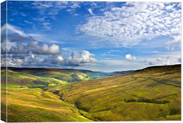 Summer View from Buttertubs Canvas Print by Trevor Kersley RIP