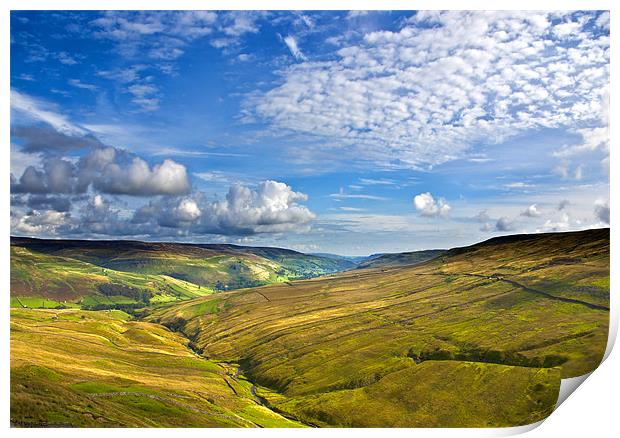 Summer View from Buttertubs Print by Trevor Kersley RIP