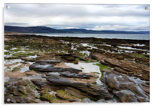 Rocks and Rock pools at Embo beach Scotland Acrylic by Jacqi Elmslie