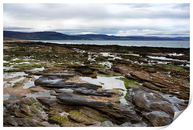 Rocks and Rock pools at Embo beach Scotland Print by Jacqi Elmslie