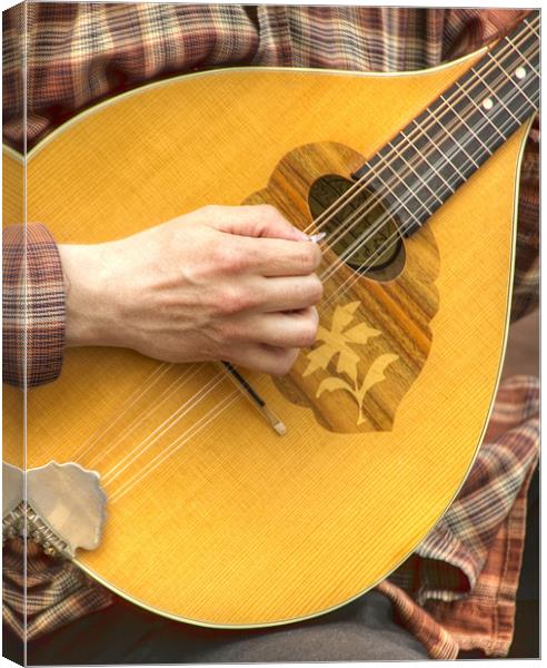Street Busker Canvas Print by David French