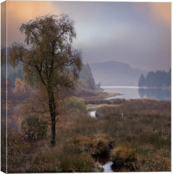 Misty Scottish Loch Canvas Print by Stewart Mcquillian
