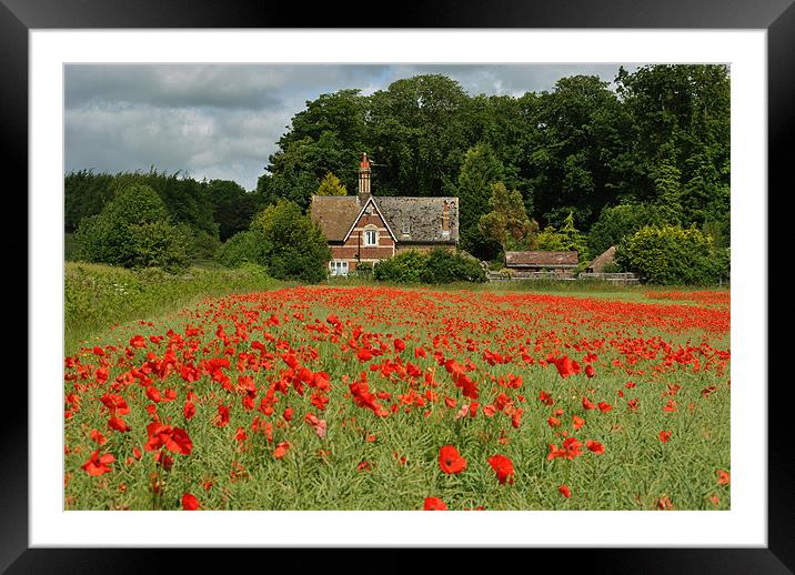 Keepers Cottage Framed Mounted Print by graham young
