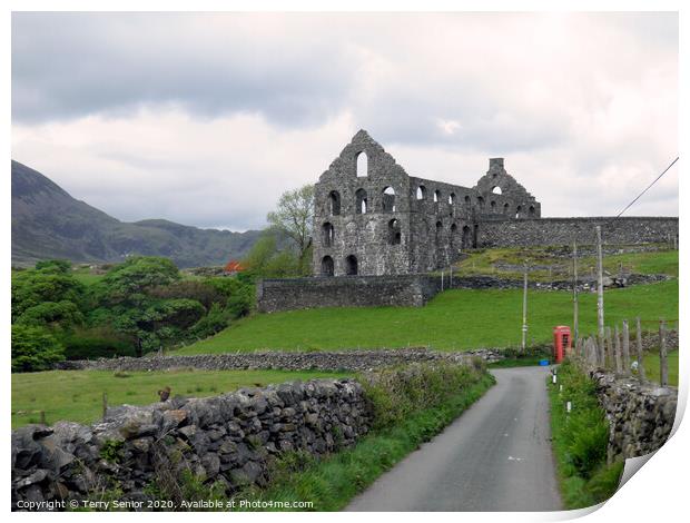 Melin Lechi 'Ynys y Pandy' Slate Mill  Print by Terry Senior