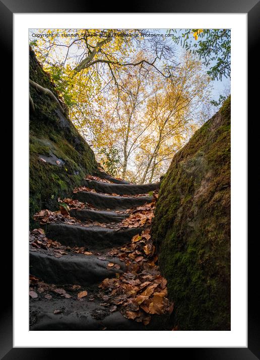 Autumnal Steps Framed Mounted Print by Hannah Temple