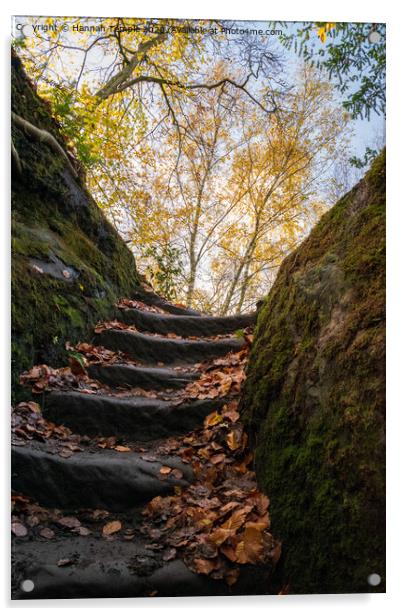 Autumnal Steps Acrylic by Hannah Temple