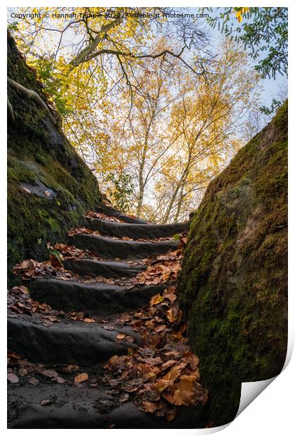 Autumnal Steps Print by Hannah Temple