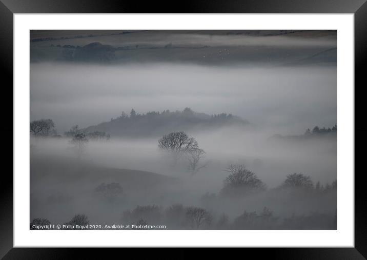 Trees in the Mist - Loweswater Lake District Framed Mounted Print by Philip Royal