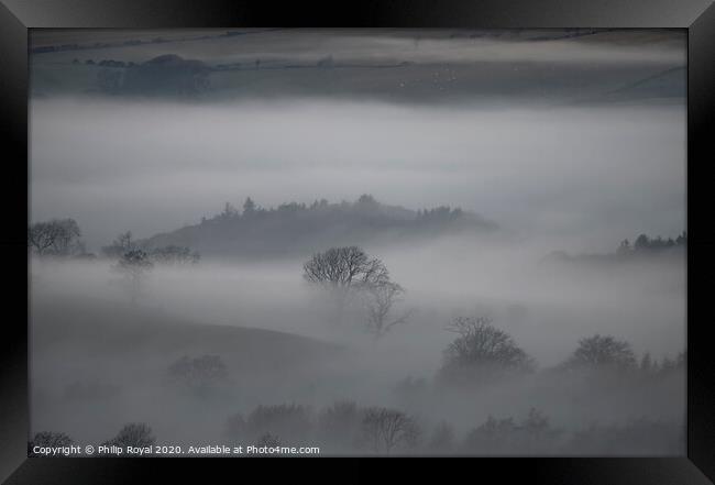 Trees in the Mist - Loweswater Lake District Framed Print by Philip Royal